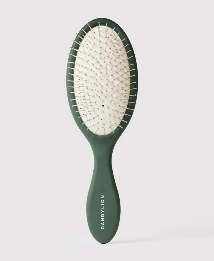Dandylion Dandylion - Daily Grooming Brush