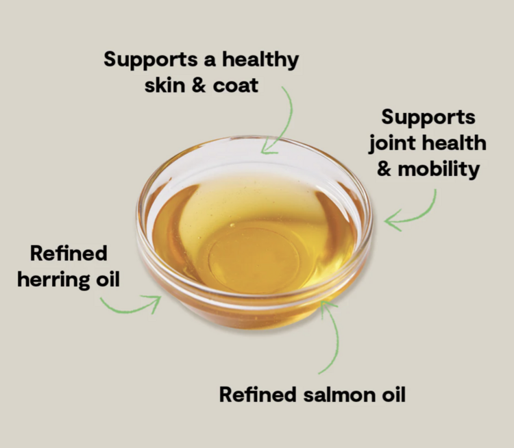 Open Farm Open Farm - Icelandic Herring + Salmon Oil - 500ml