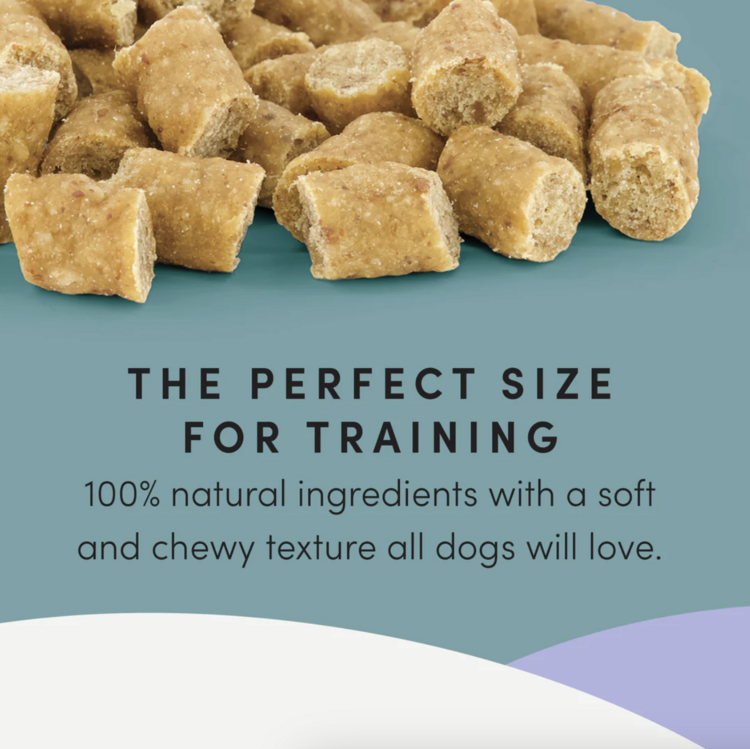 Crumps' Naturals Crumps - Semi Moist Trainers - Duck