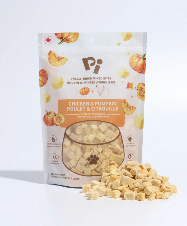 Pi Pi Pet Food - Chicken & Pumpkin - 57g