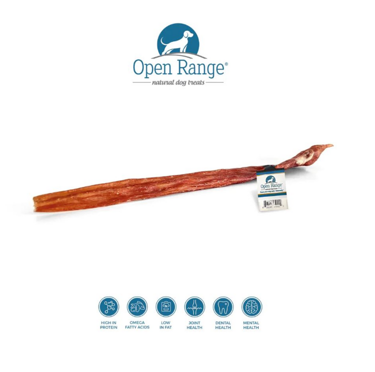 Open Range Open Range - Furs Bee Fetch Stick - 18-22" - 1pc