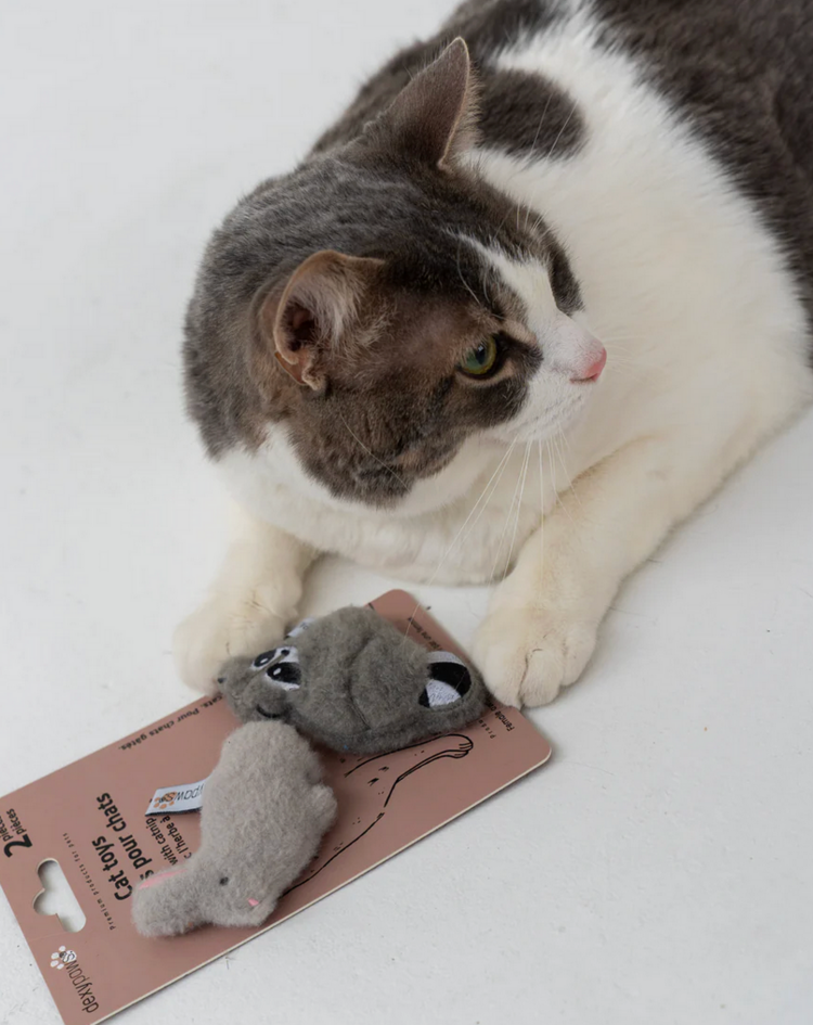 Dexy Paws Dexy Paws - Cat Toy - Backyard Buddies