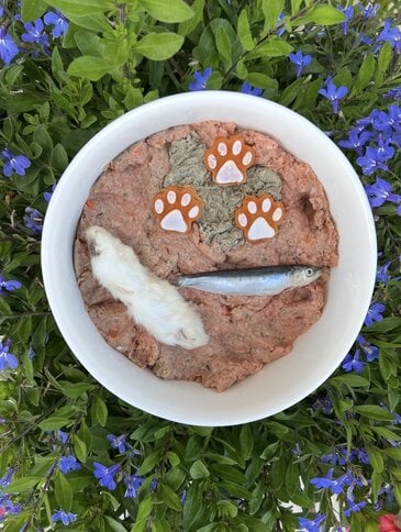 Try A Frozen Mold