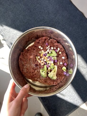 Freeze Dried Veggies For The Win!