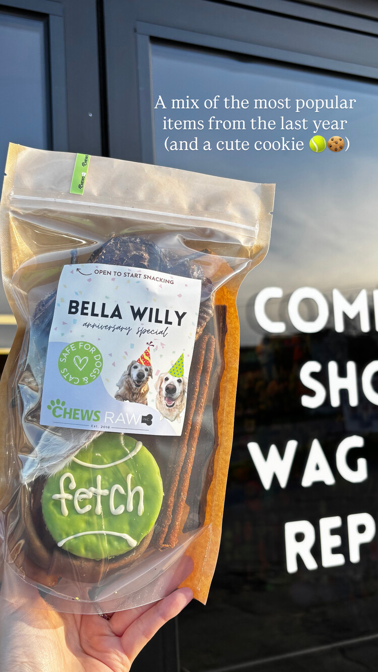 CHEWS CHEWS - Bella Willy - 4th Anniversary
