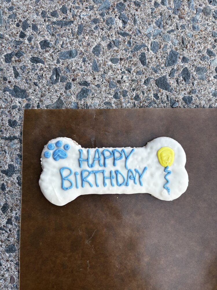 The Barkery The Barkery - Happy Birthday XL - Blue