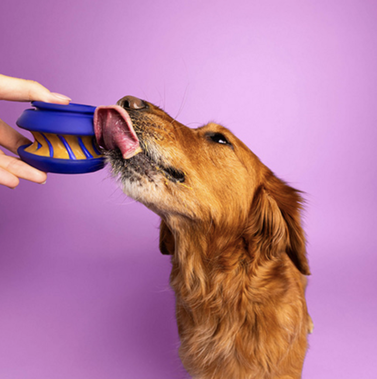 WAGLAB WAGLAB - Slobber - Large - Blue