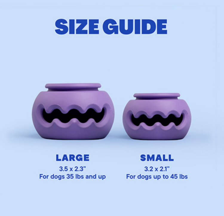 WAGLAB WAGLAB - Squiggle - Small - Purple