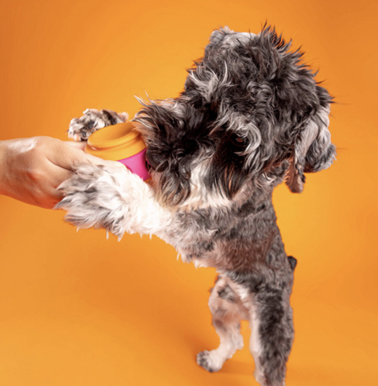 WAGLAB WAGLAB - Spinner - Small - Pink & Orange
