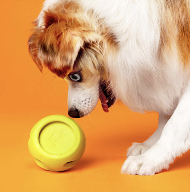 WAGLAB WAGLAB - Boomerang - Small - Green