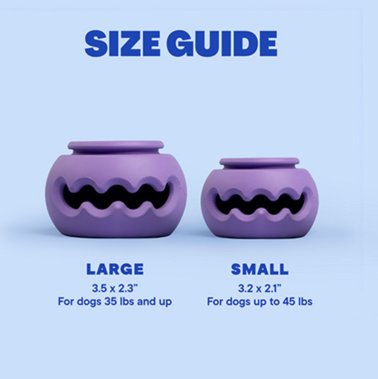 WAGLAB WAGLAB - Squiggle - Large - Purple