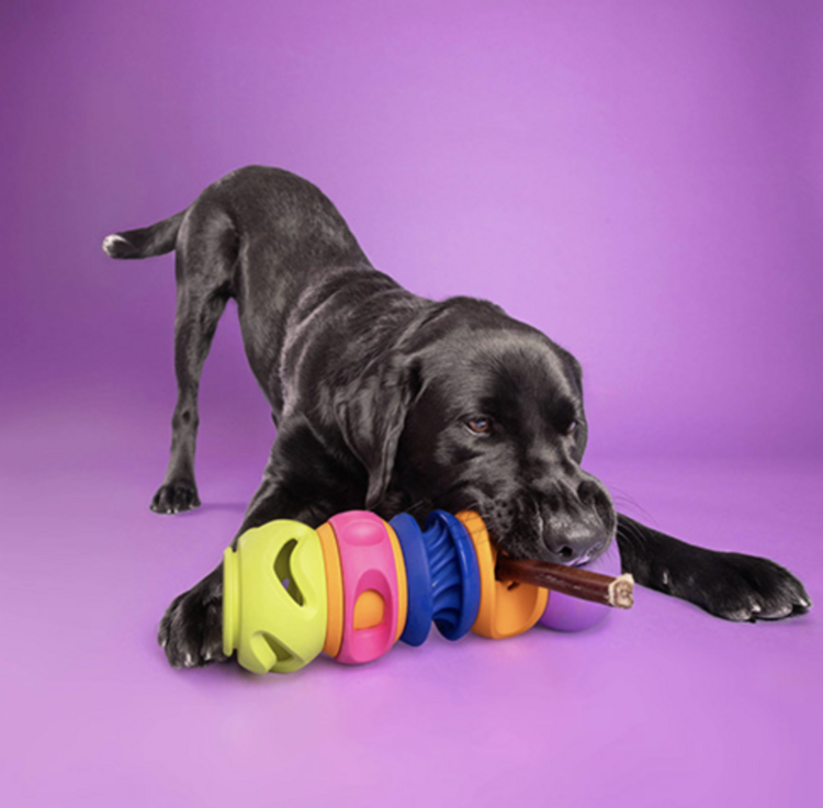 WAGLAB WAGLAB - Squiggle - Large - Purple