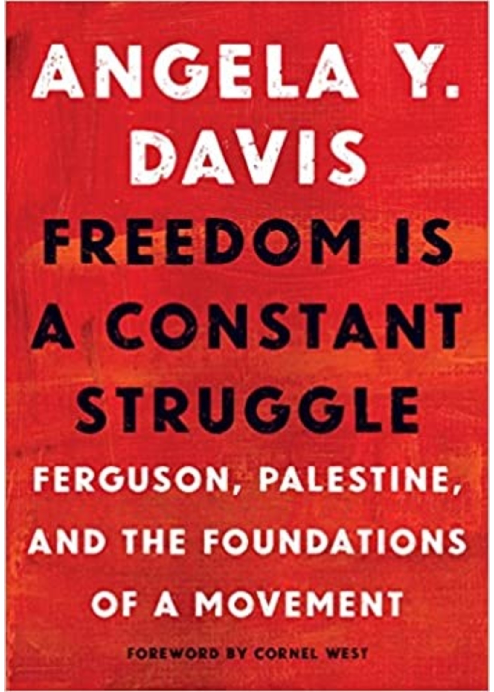 Freedom is a Constant Struggle: Ferguson, Palestine and the Foundations of a Movement