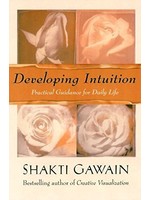 Developing Intuition