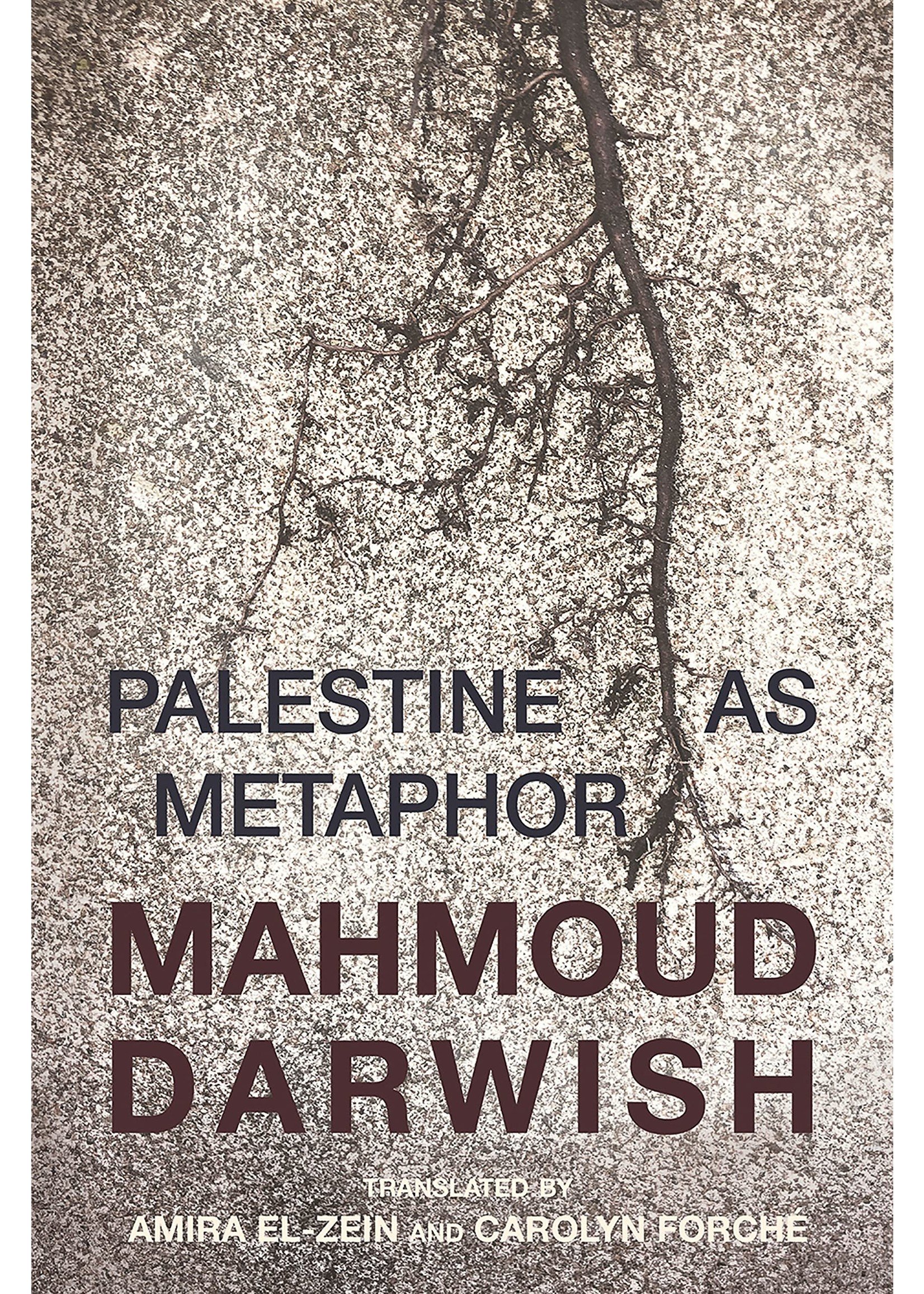 Palestine as Metaphor