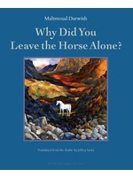 Why Did You Leave The Horse Alone