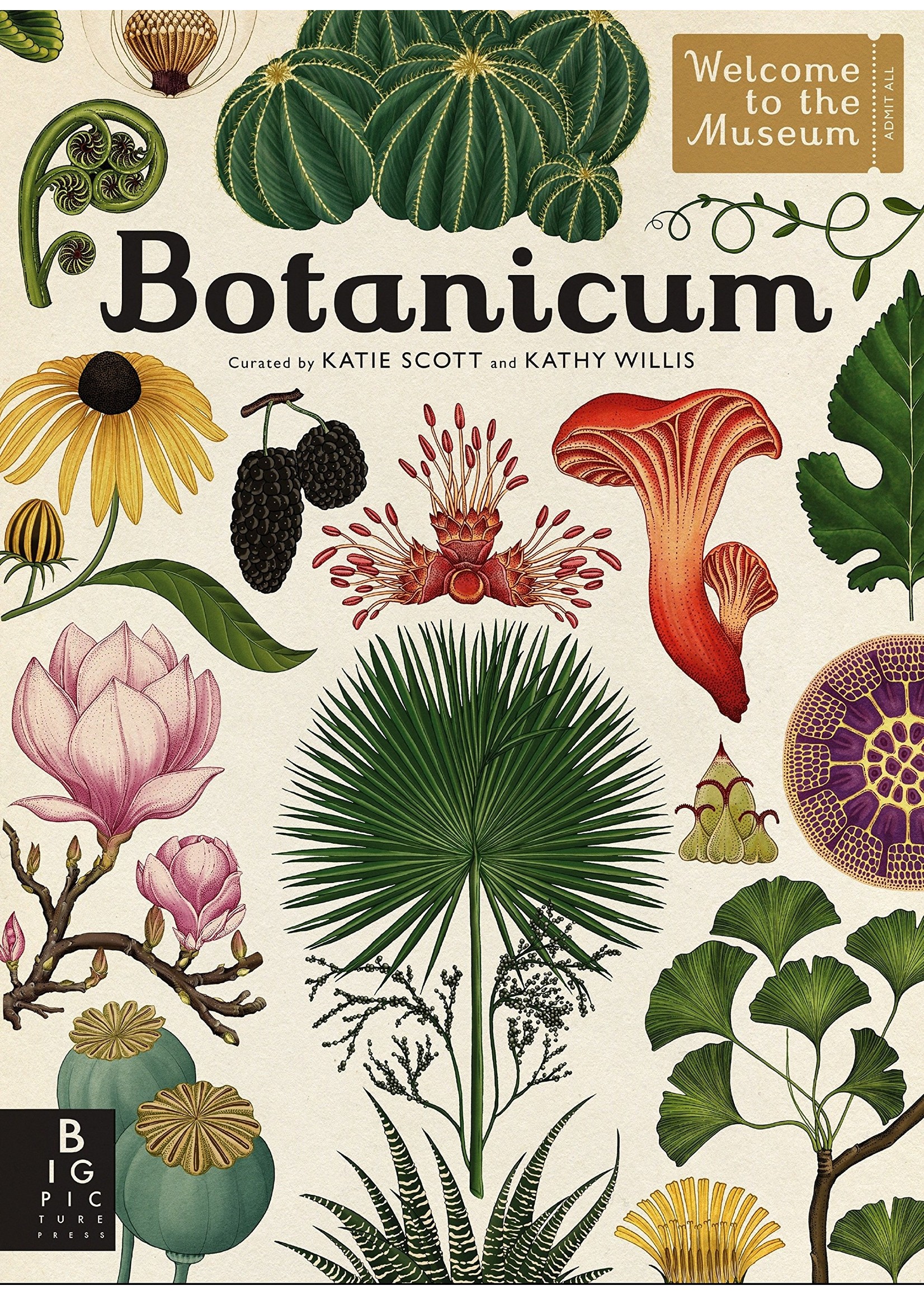Botanicum: Welcome to the Museum (The 2016 offering from Big Picture Press's Welcome to the Museum series, Botanicum, is a brilliantly curated guide to plant life. With artwork from Katie Scott of Animalium fame, Botanicum gives readers the experience of