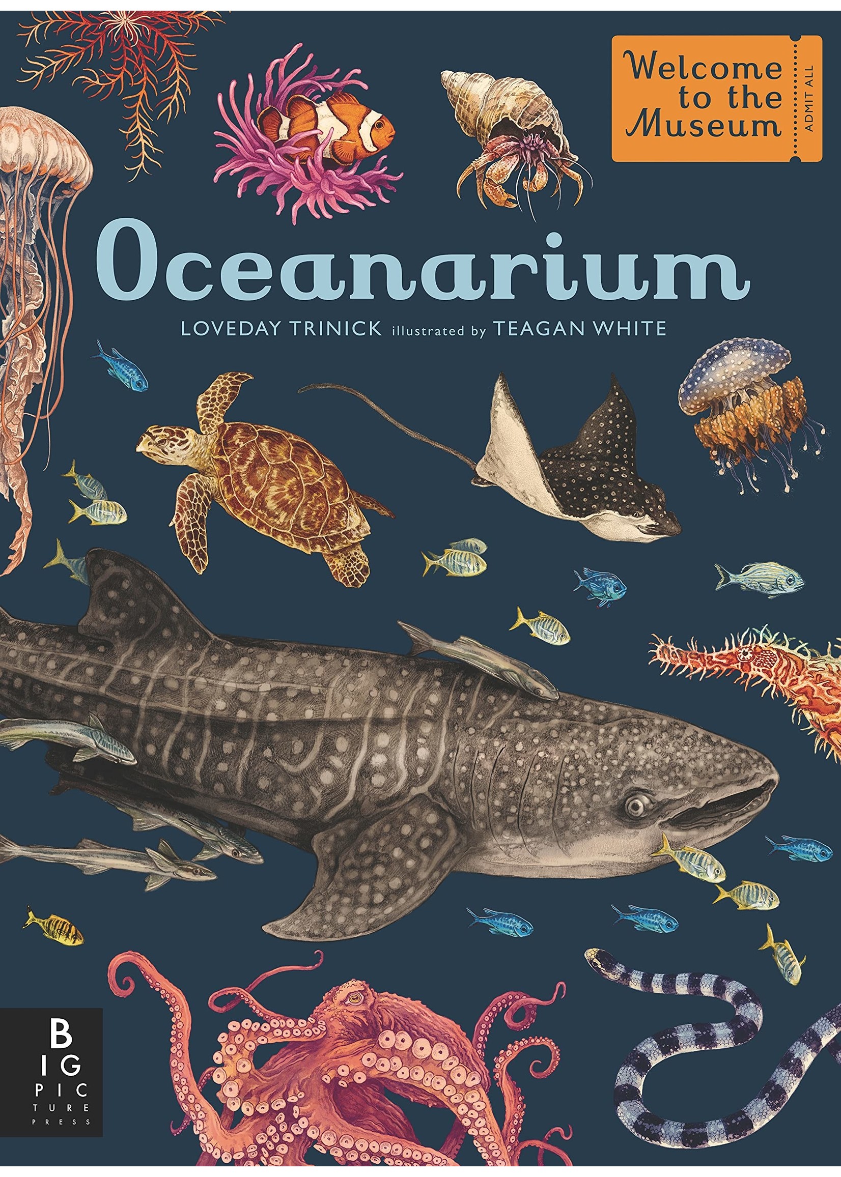 Oceanarium