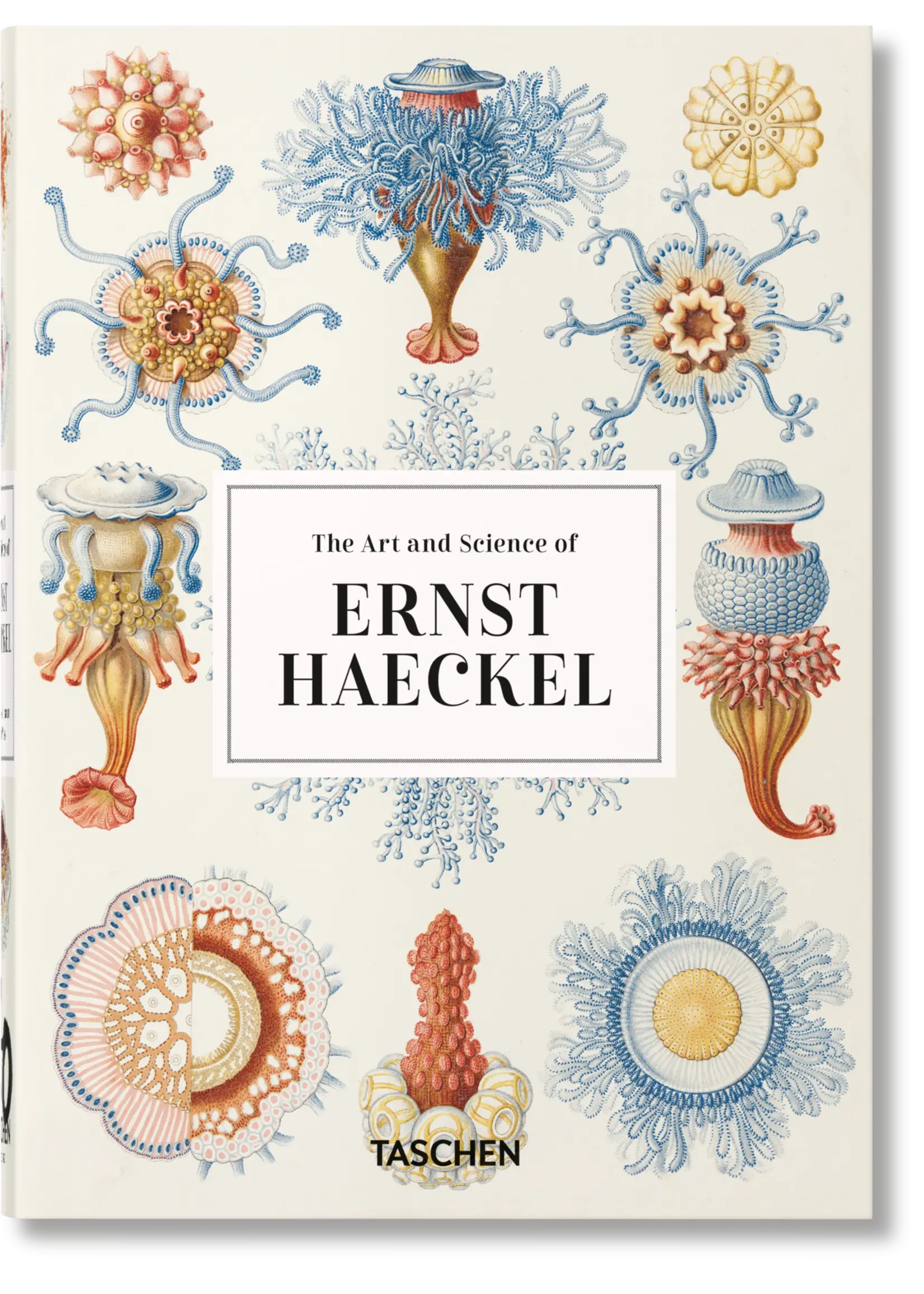 The Art and Science of Ernst Haeckel