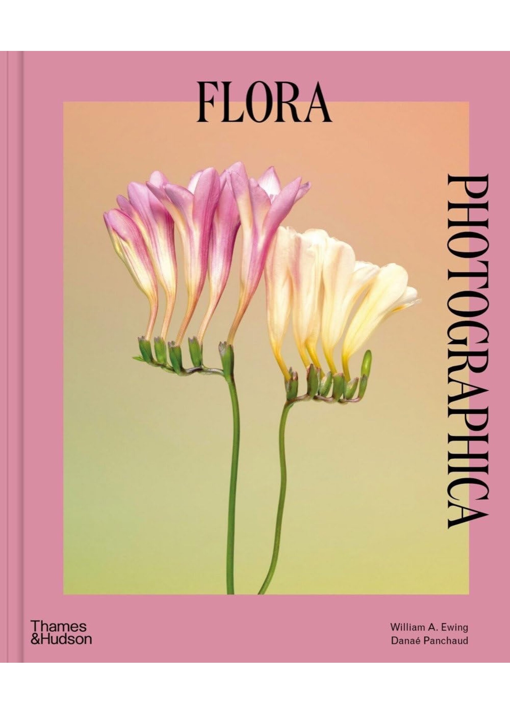 Flora Photographica: Masterworks of Contemporary Flower Photography