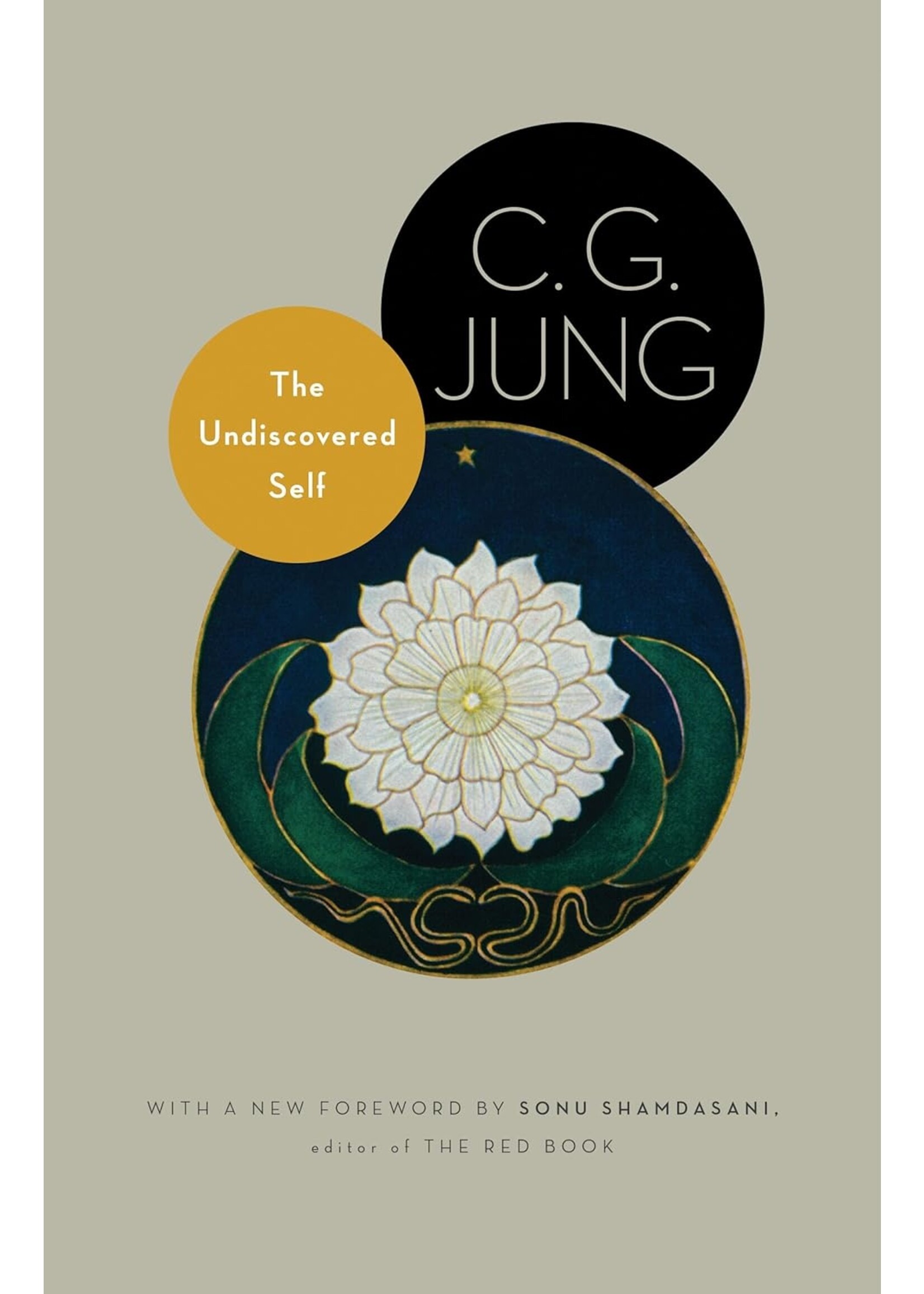 The Undiscovered Self: The Dilemma of the Individual in Modern Society