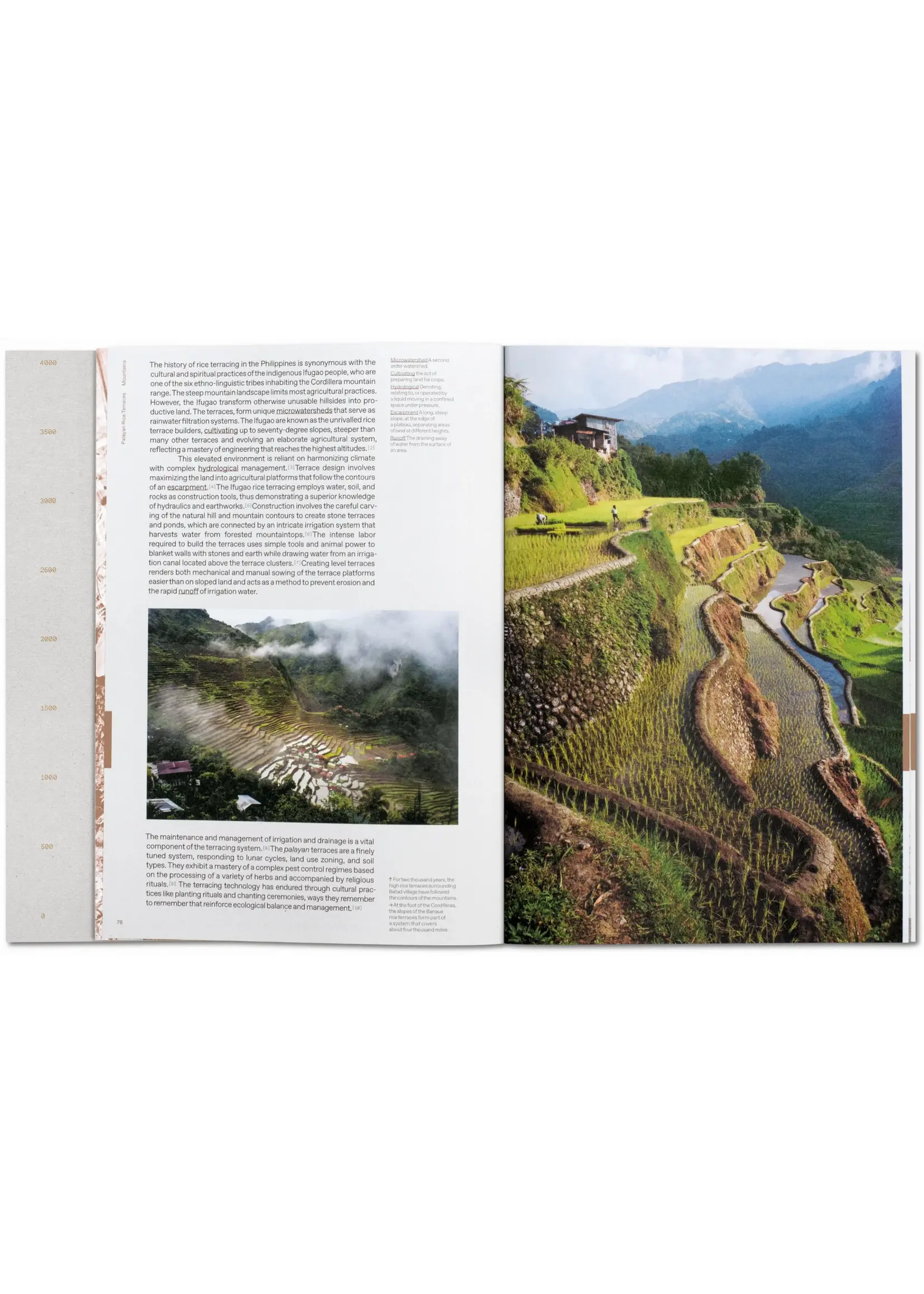 Lo—TEK. Design by Radical Indigenism - Taschen