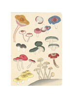 Healing Mushrooms - Journal