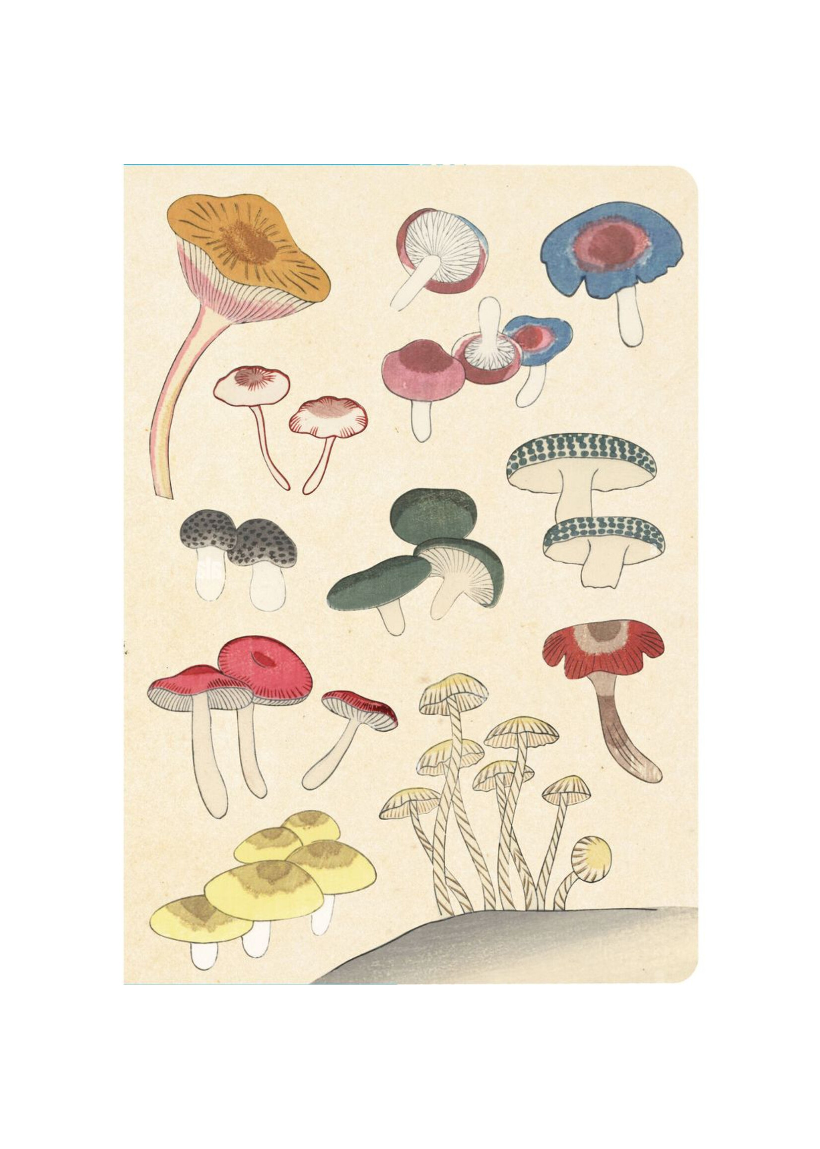 Healing Mushrooms - Journal