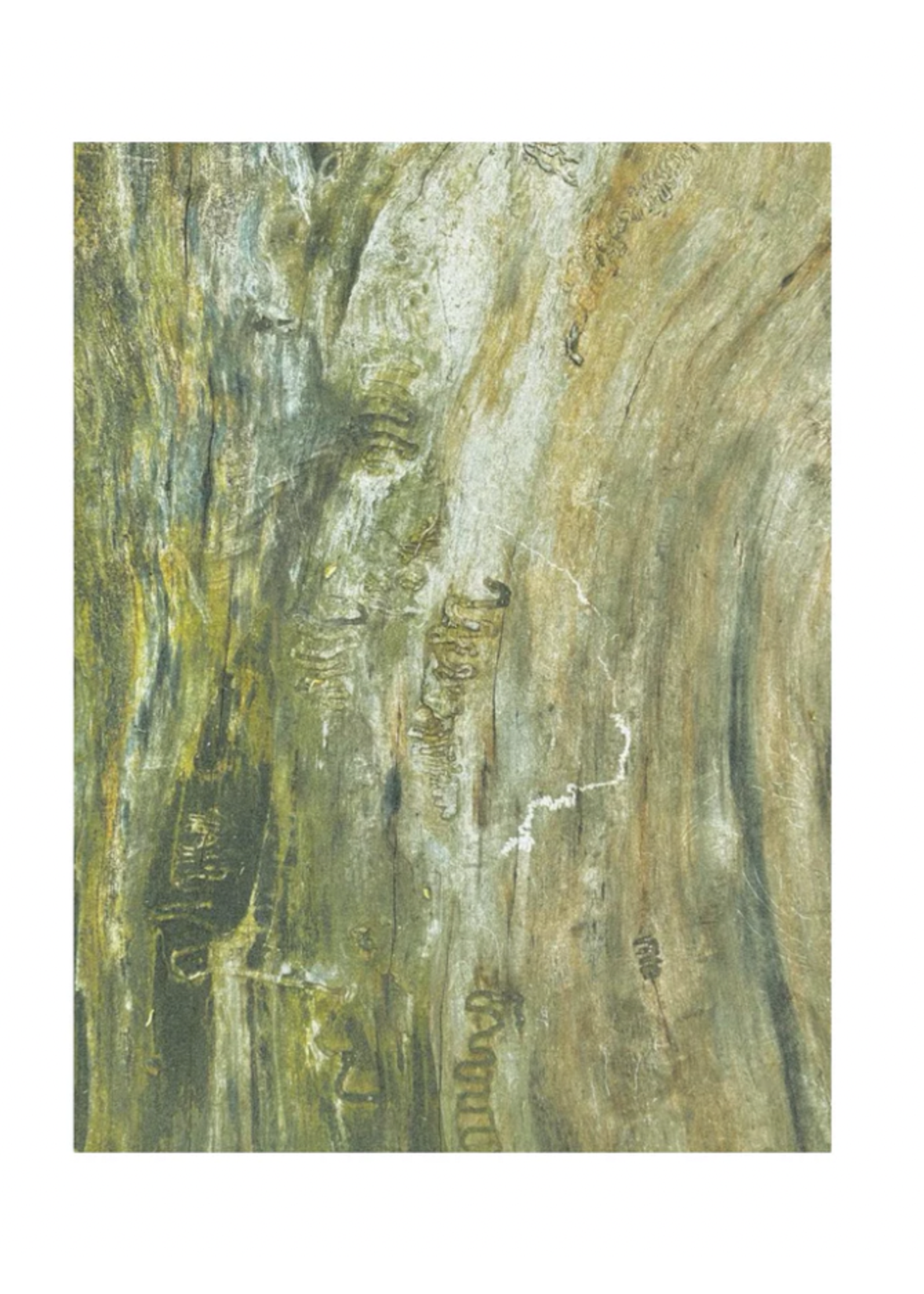 PATINAPATINA Issue 01