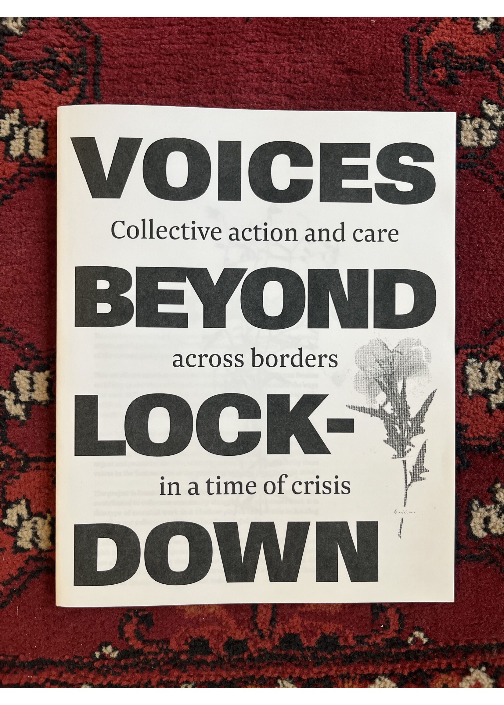 Voices Beyond Lockdown
