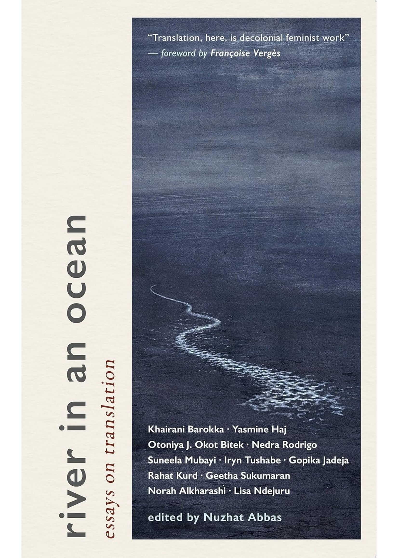 River in an Ocean: Essays on Translation