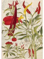 Chili Peppers & Shiso Leaves Blank Hardcover Journal