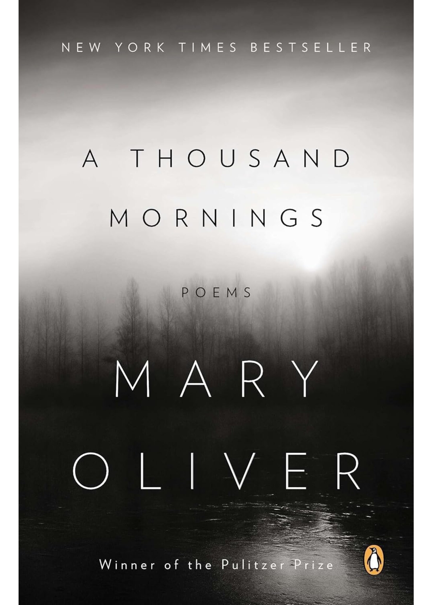 A Thousand Mornings: Poems