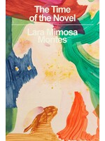 The Time of the Novel