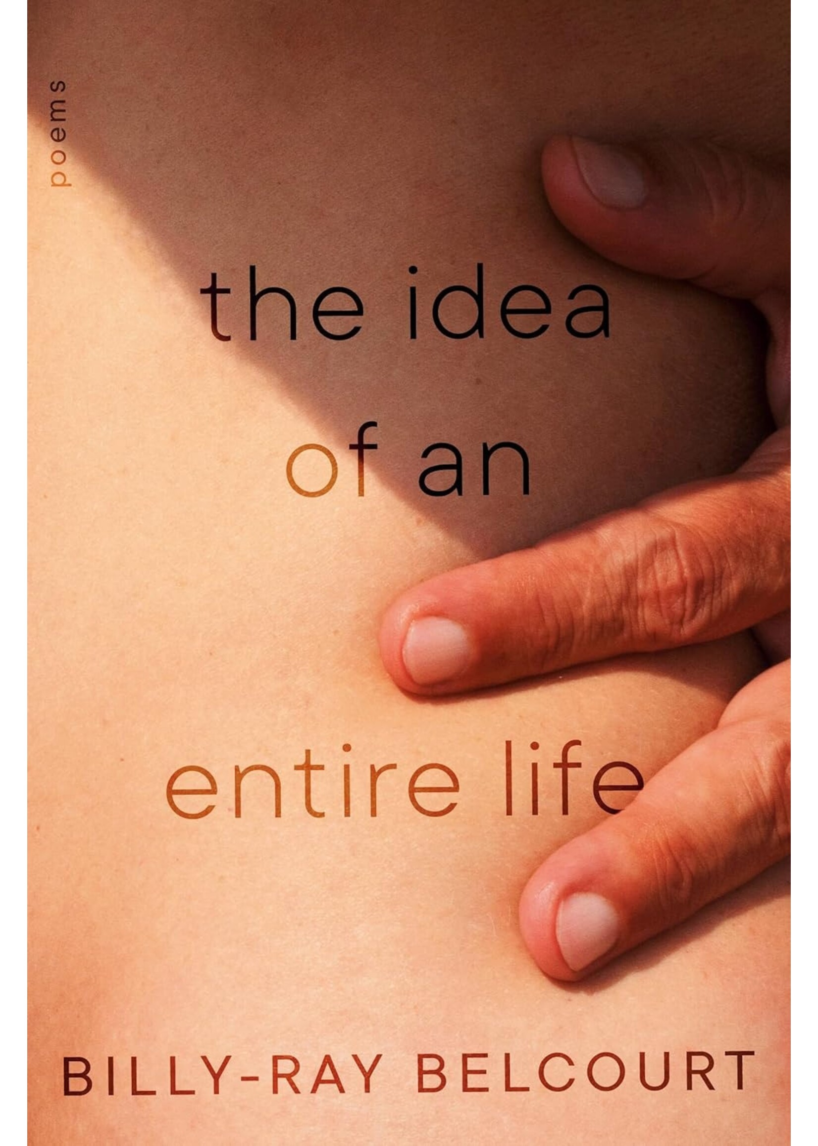 The Idea of An Entire Life
