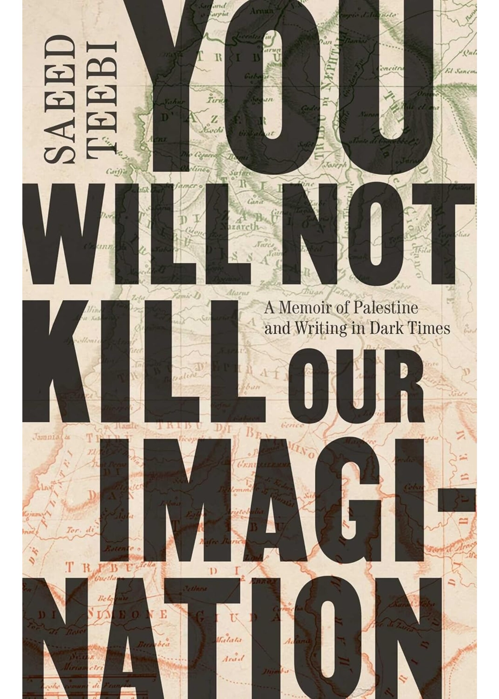 You Will Not Kill Our Imagination: A Memoir of Palestine and Writing in Dark Times