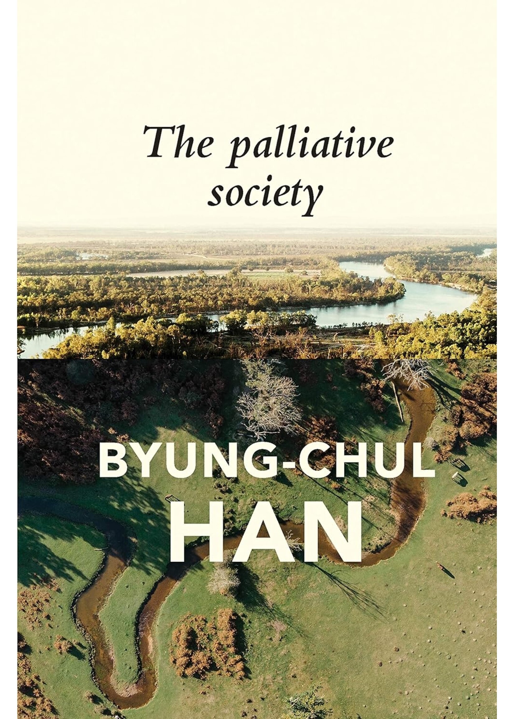 The Palliative Society: Pain Today