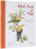 Bird, Nest & Egg