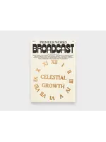 Pioneer Works Broadcast