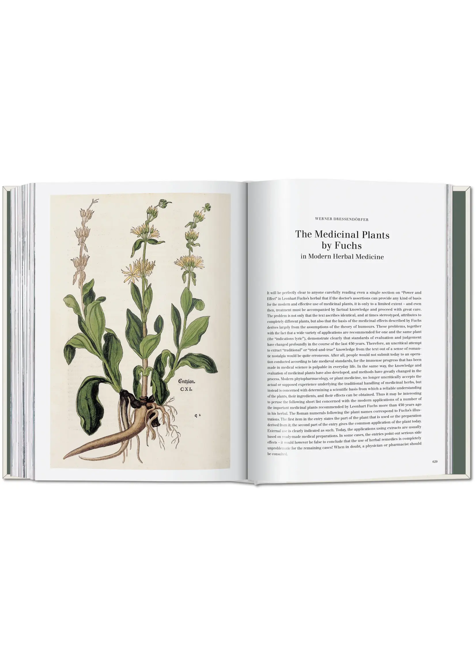 Leonhart Fuchs. The New Herbal
