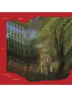 Palestinian Bedouin Psychedelic Dabka Archive - VINYL