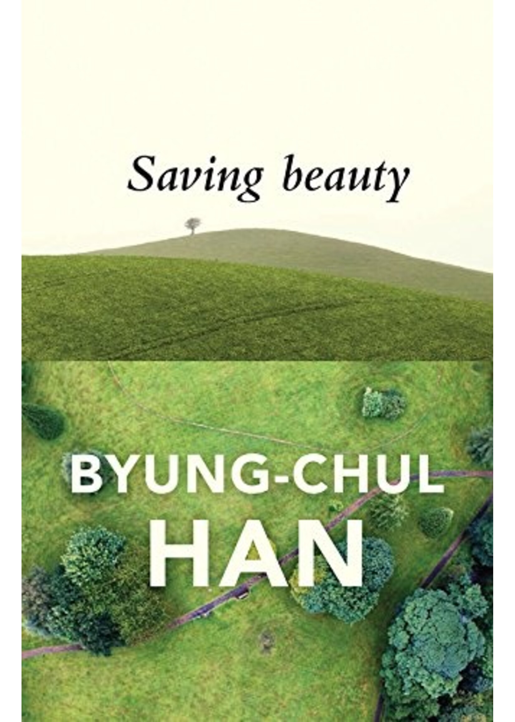 Saving Beauty