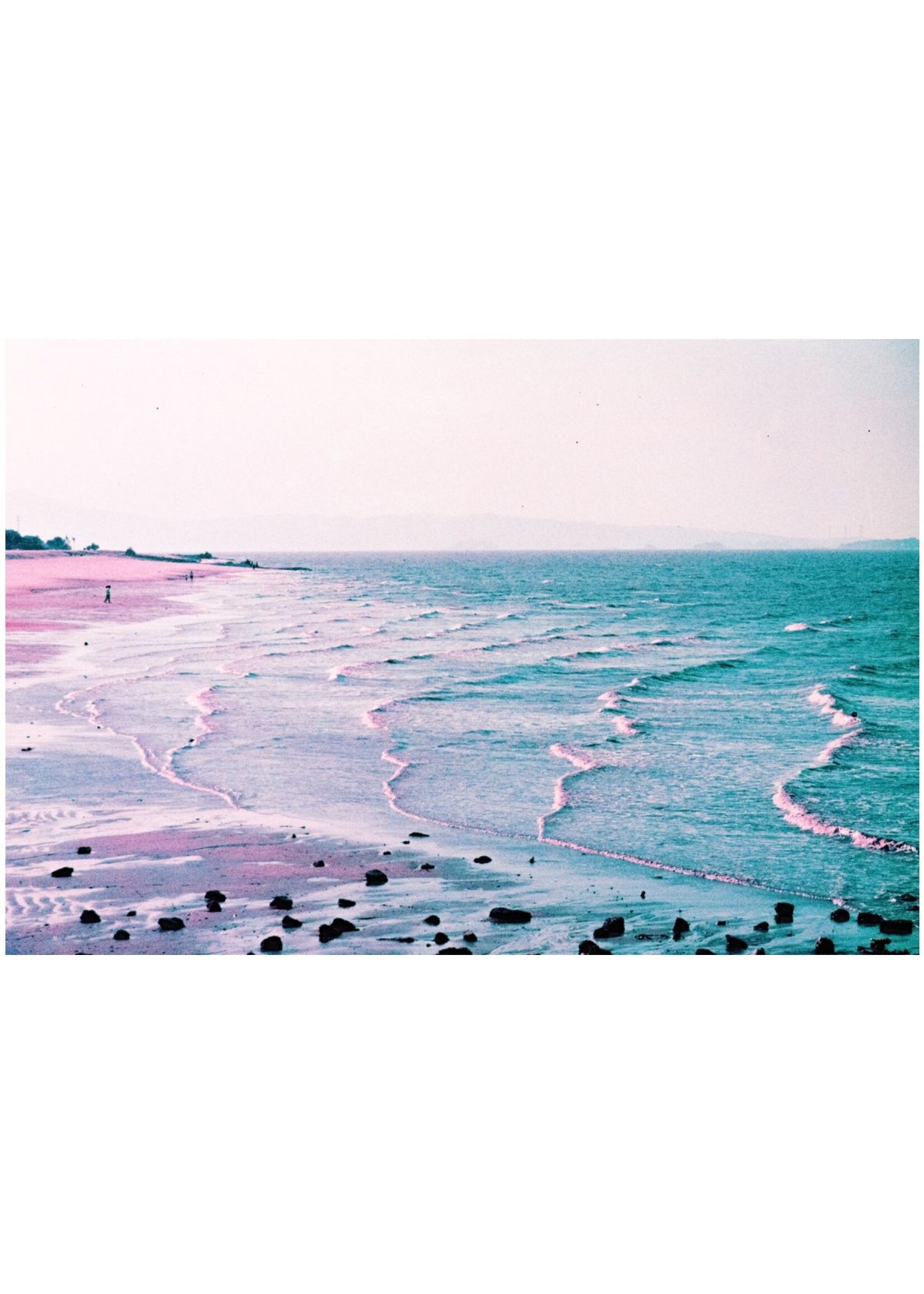 Lomography 2021 LomoChrome Purple Pétillant 35 mm ISO 100–