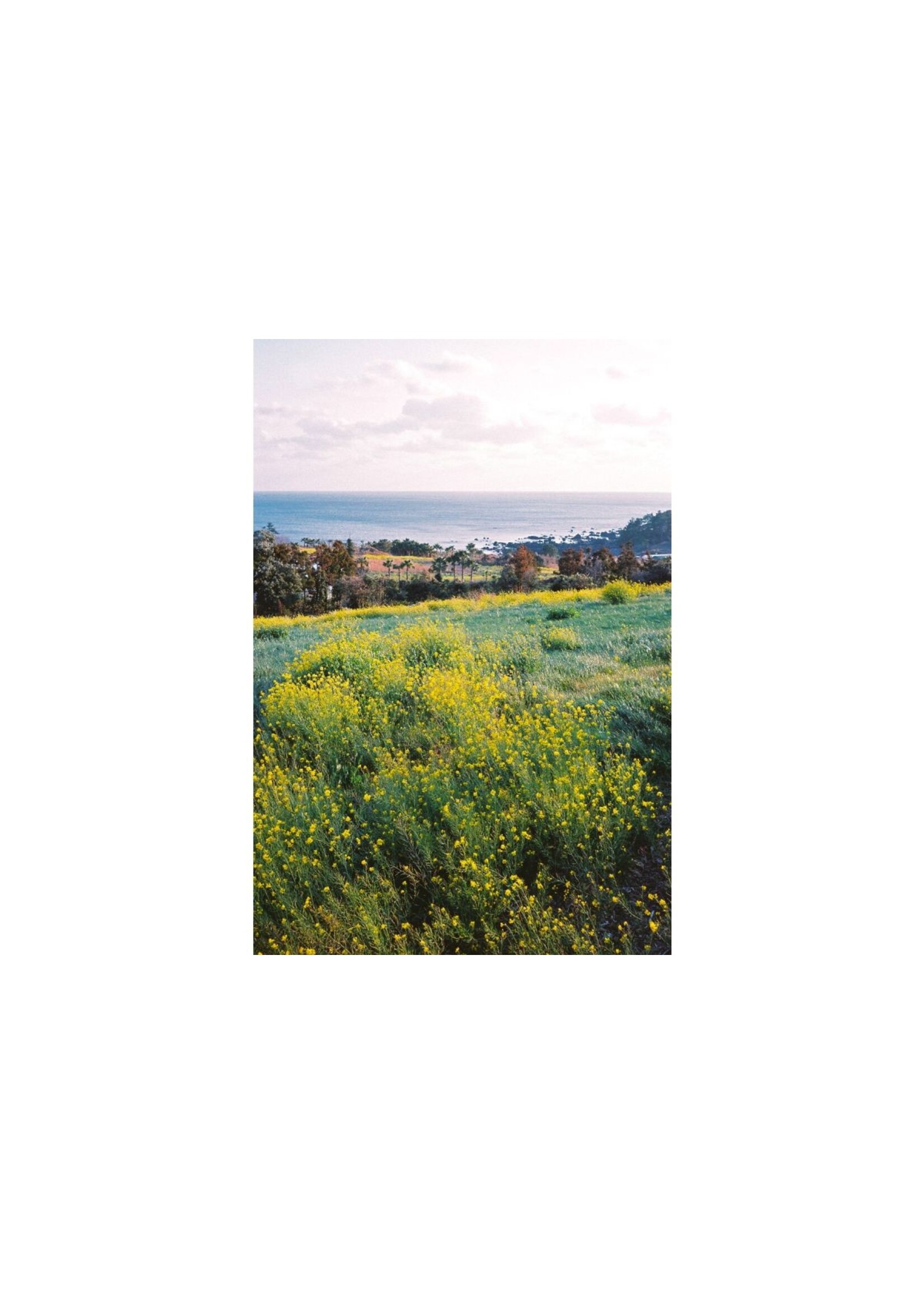 Lomography Lomography 400 Color Negative 3-pack (35mm)