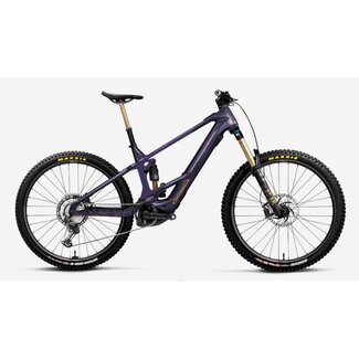 Orbea ORBEA Wild M10 / Custom  (2025)