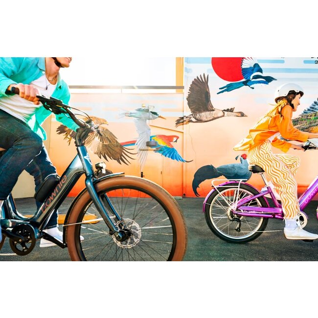 ELECTRA Townie Go! / Shark Grey (2026)