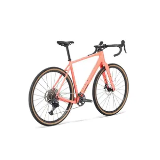 Trek TREK Checkpoint ALR 4 3e gén. / Living Coral (2026)