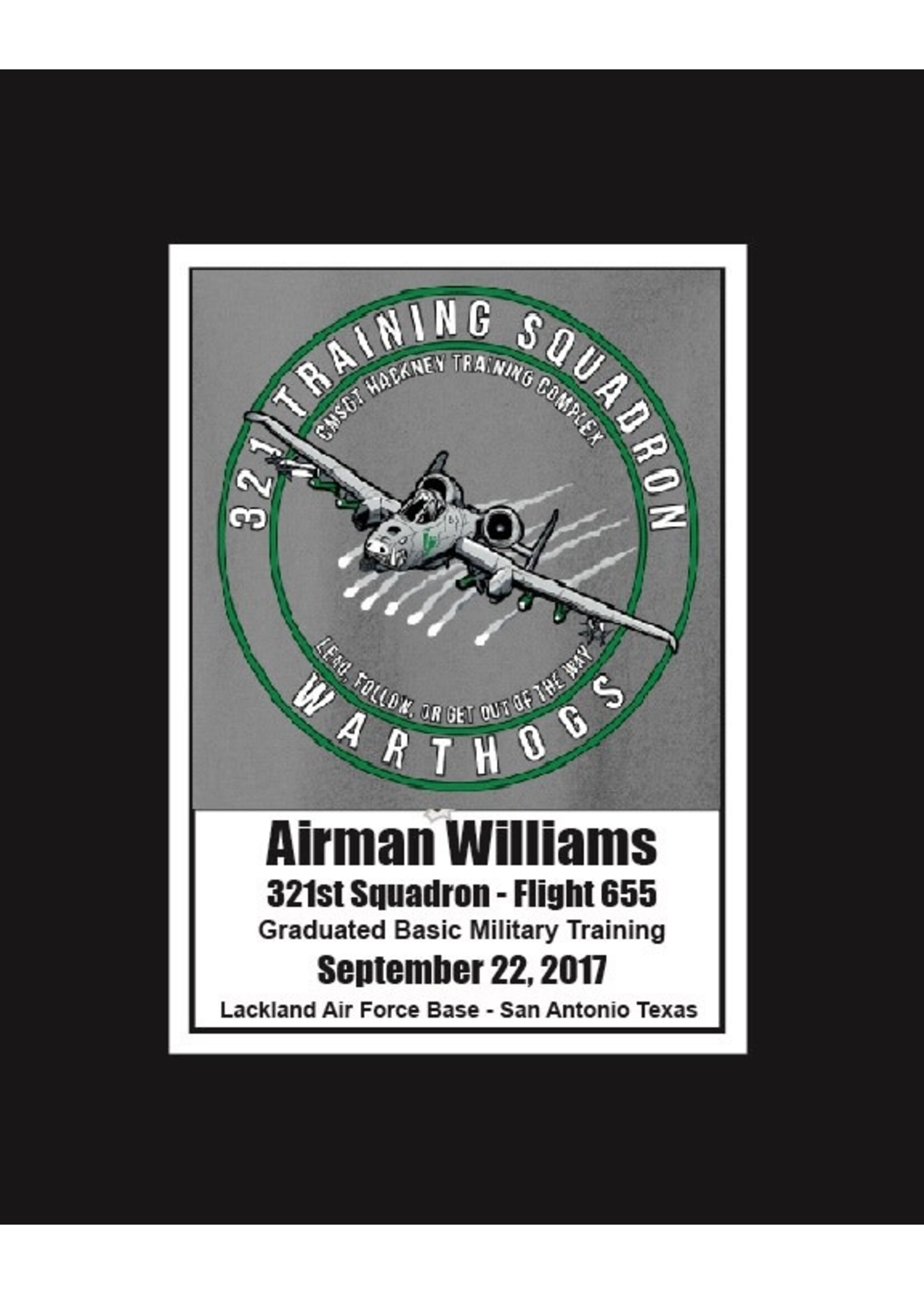 321st Squadron Matted Print