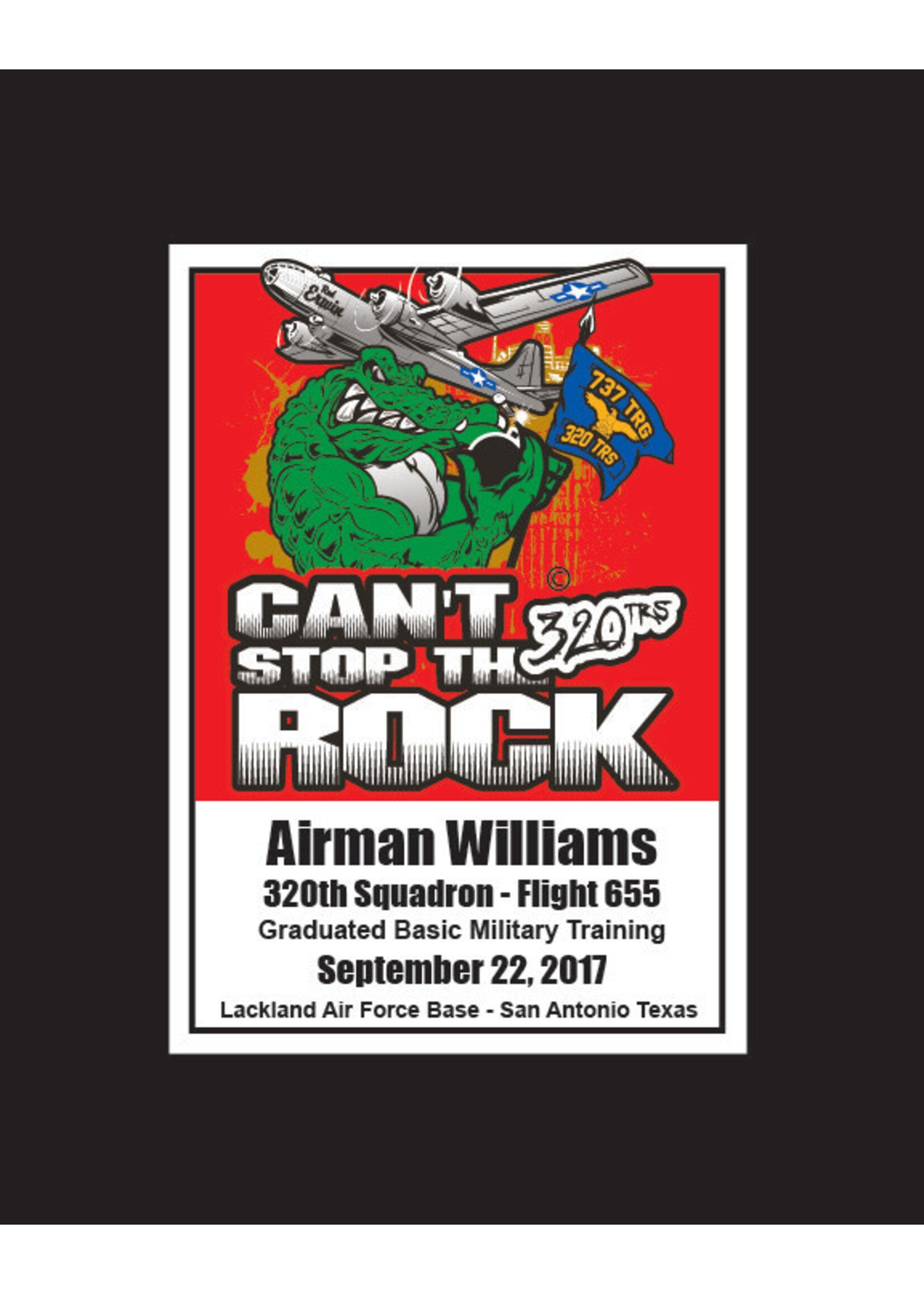 320th Squadron Matted Print