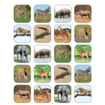 TEACHER CREATED RESOURCES Safari Animals Stickers
